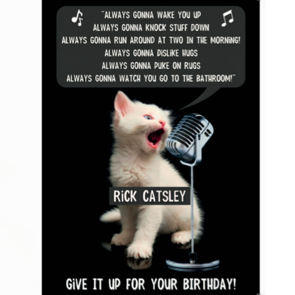 Rick Catsley Cat Birthday Card