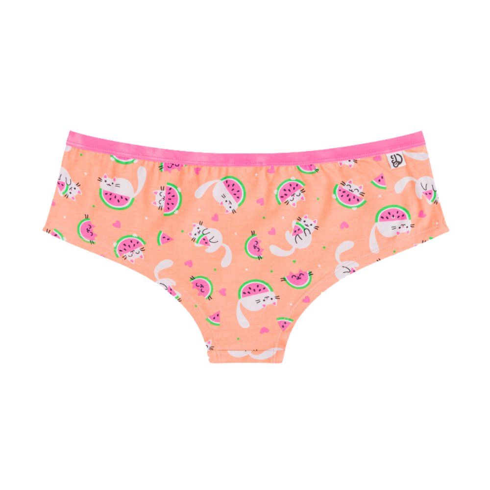 Watermelon Cats Womens Hipster Briefs Knickers