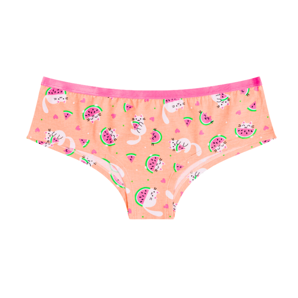 Watermelon Cats Womens Hipster Briefs Knickers