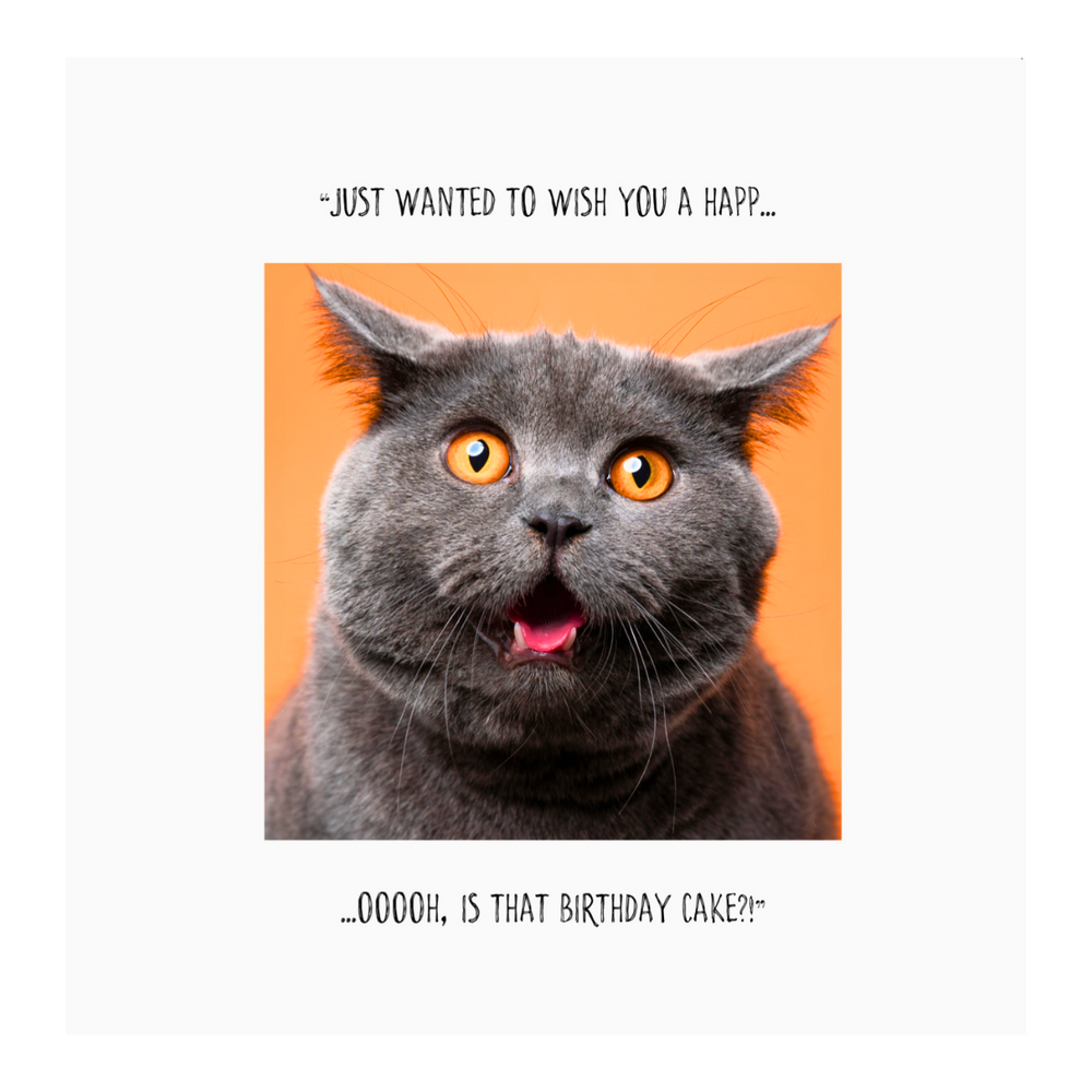 Just Wanted To ... Cat Birthday Greetings Card