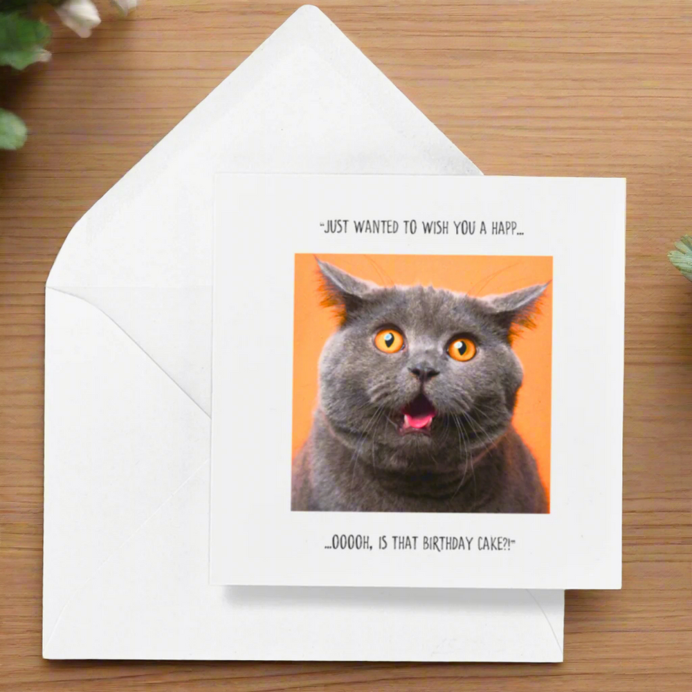 Just Wanted To ... Cat Birthday Greetings Card