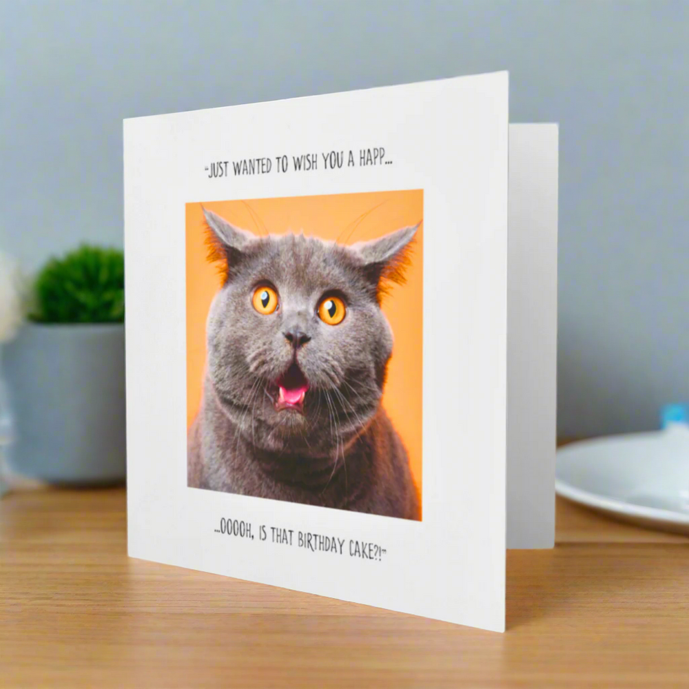 Just Wanted To ... Cat Birthday Greetings Card