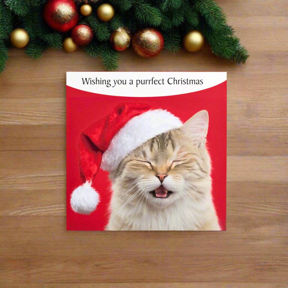 Purrfect Christmas Cat Greeting Card