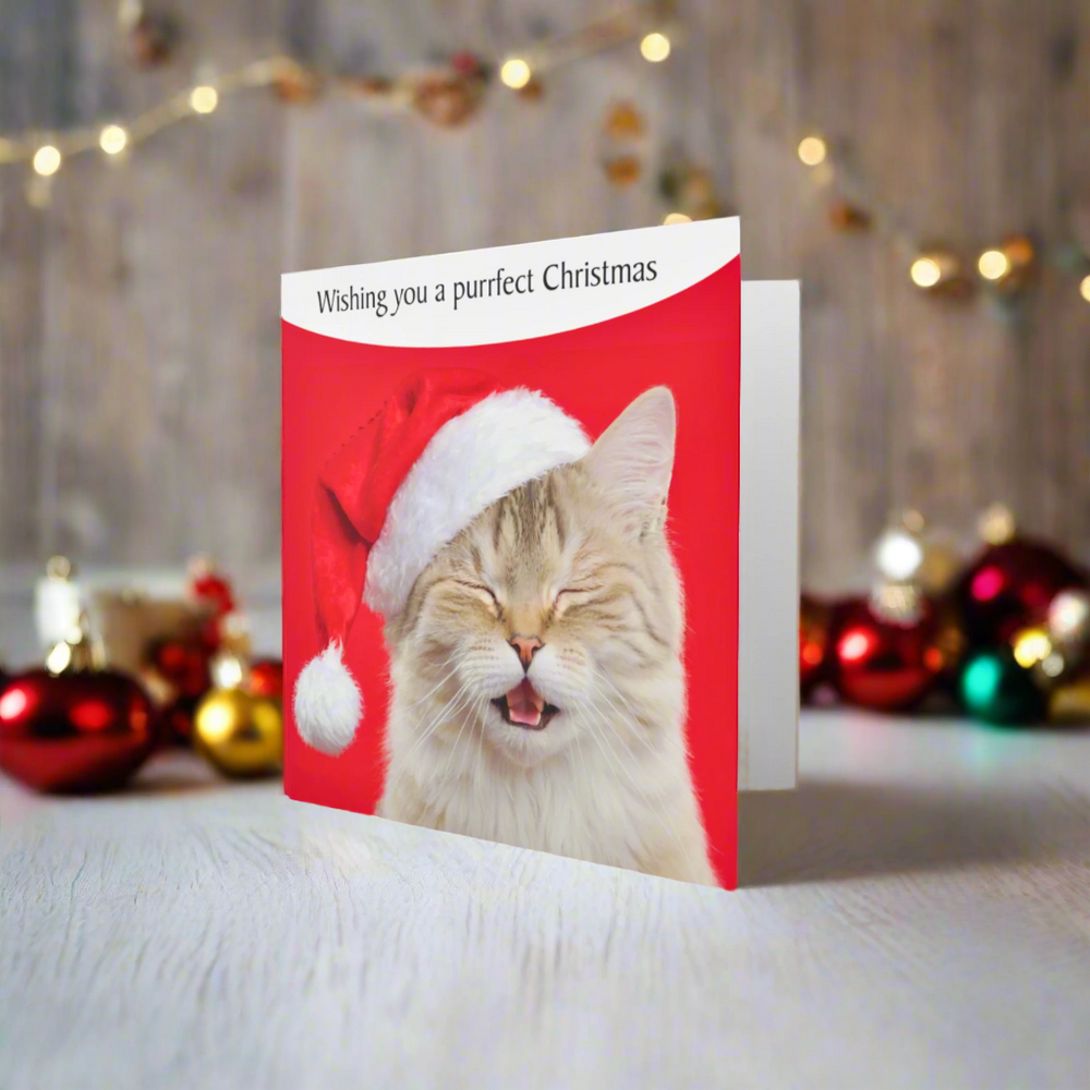 Purrfect Christmas Cat Greeting Card