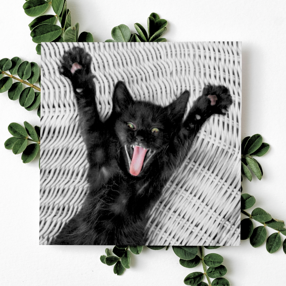 Yippee! Cat Greetings Card