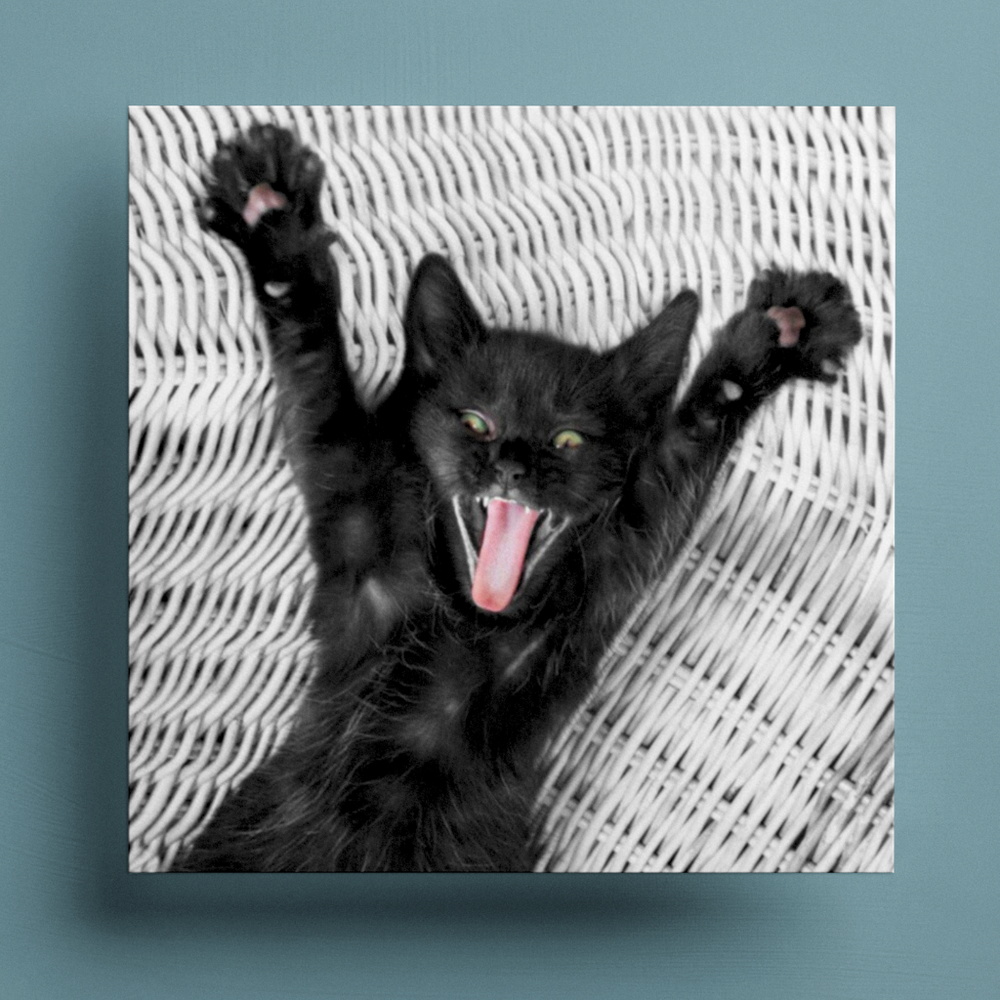 Yippee! Cat Greetings Card