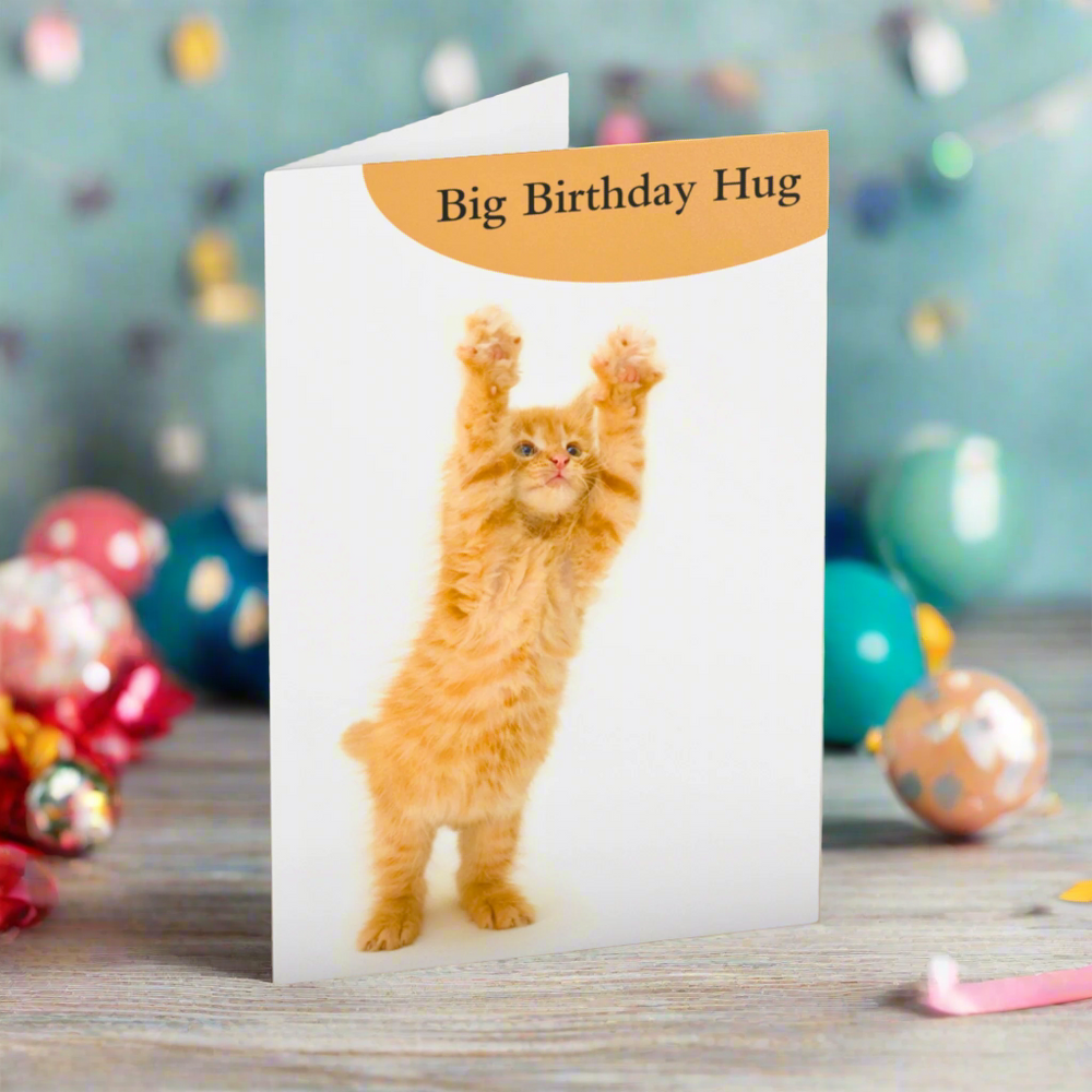 Big Birthday Hug Birthday Card