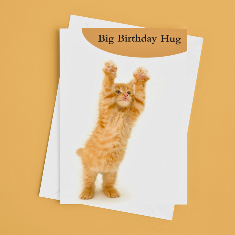 Big Birthday Hug Birthday Card