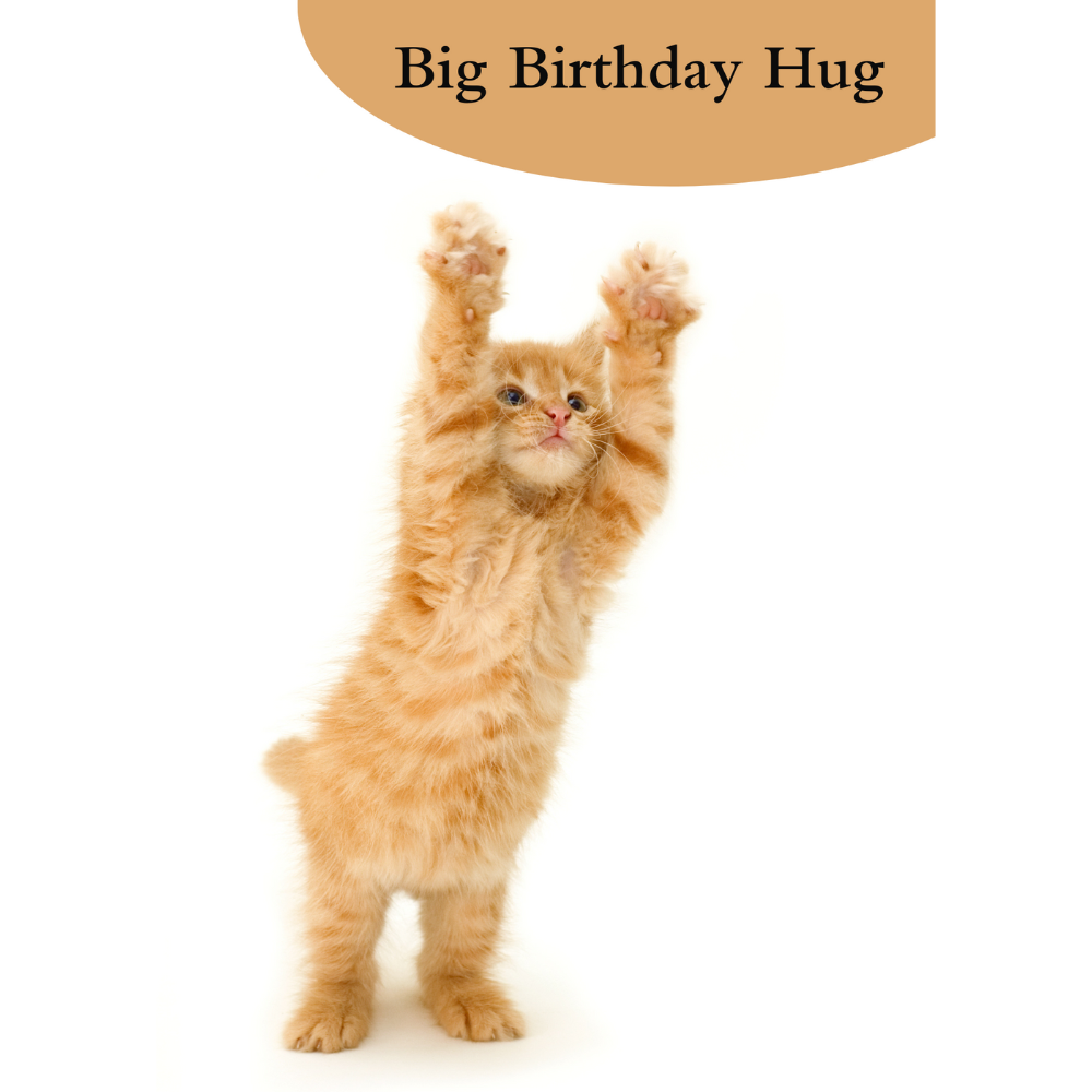 Big Birthday Hug Birthday Card