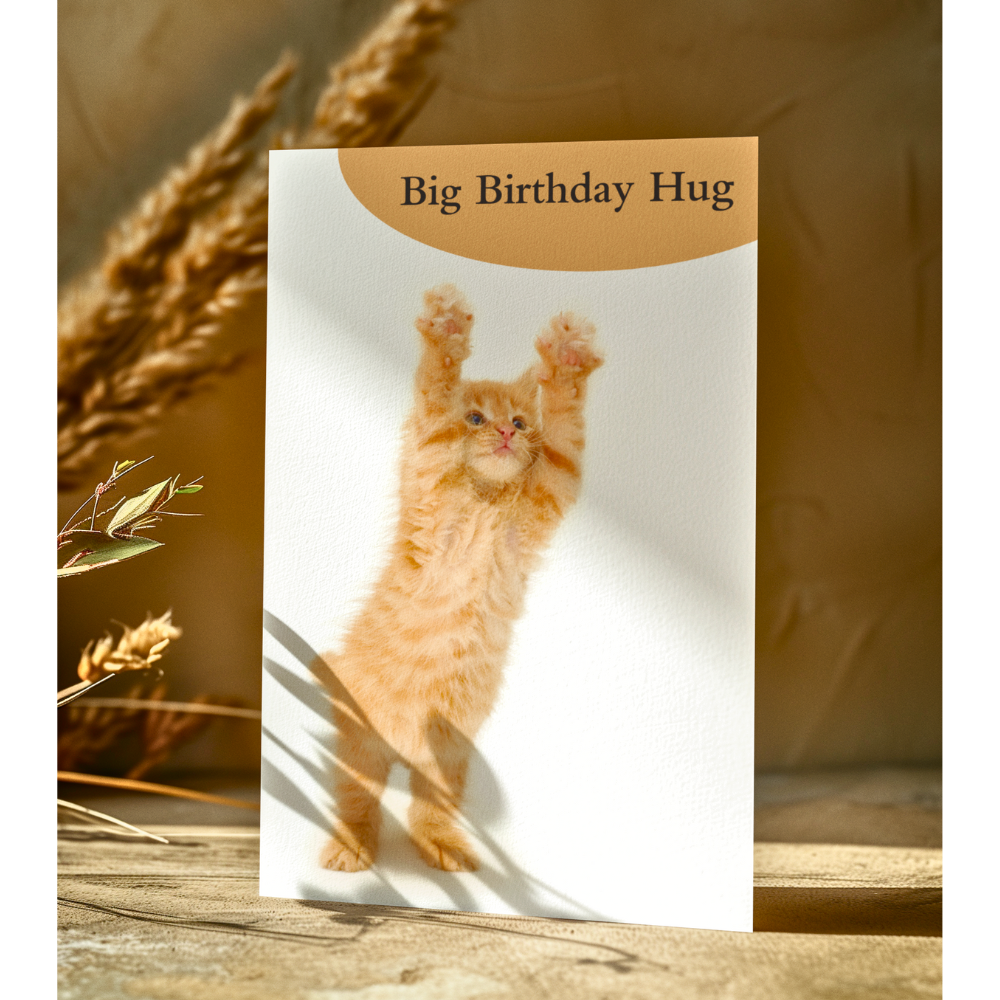 Big Birthday Hug Birthday Card