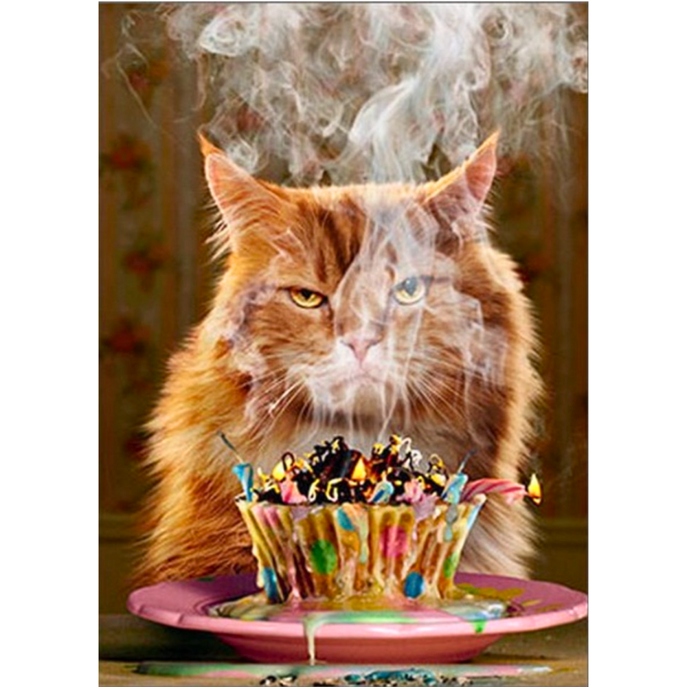 Make a Wish Funny Cat Birthday Card