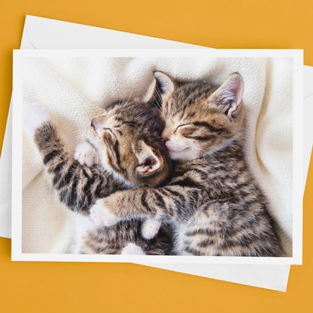 Snuggle Up Cute Cat Greetings Card