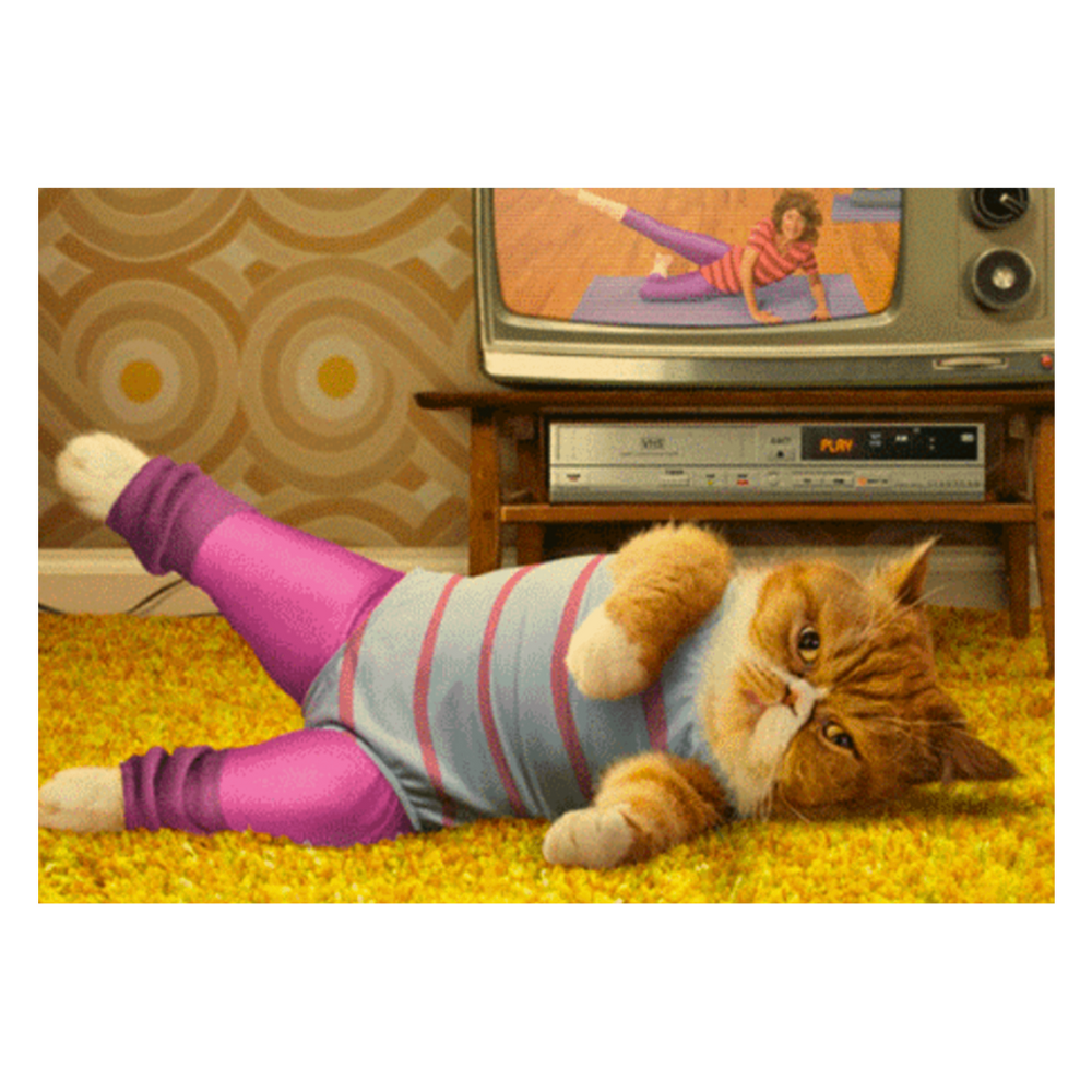 Feline Fit Funny 80's Cat Fitness Greeting Card