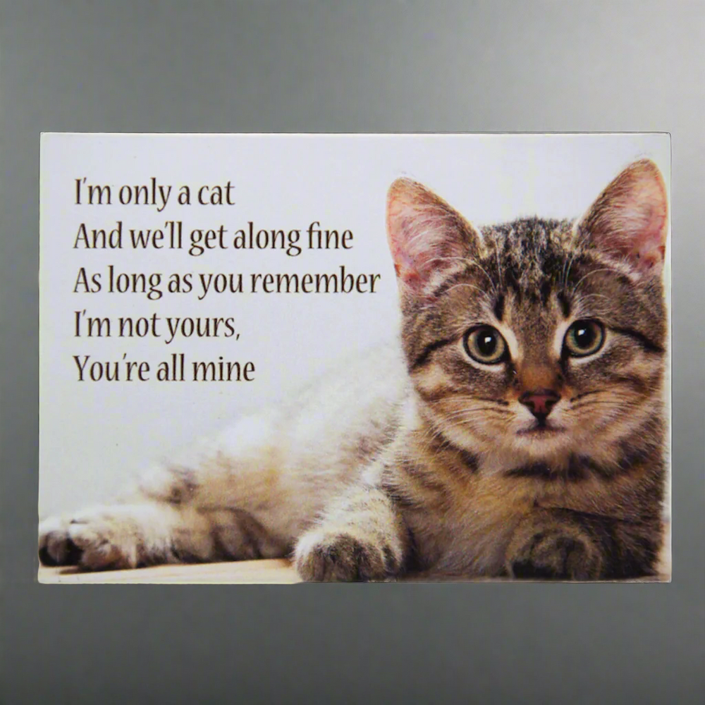 I'm Only a Cat Funny Fridge Magnet