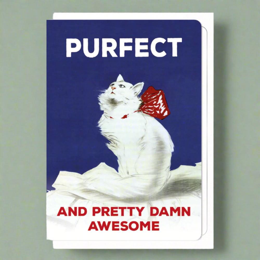 'You're Awesome' Cat Greeting Card