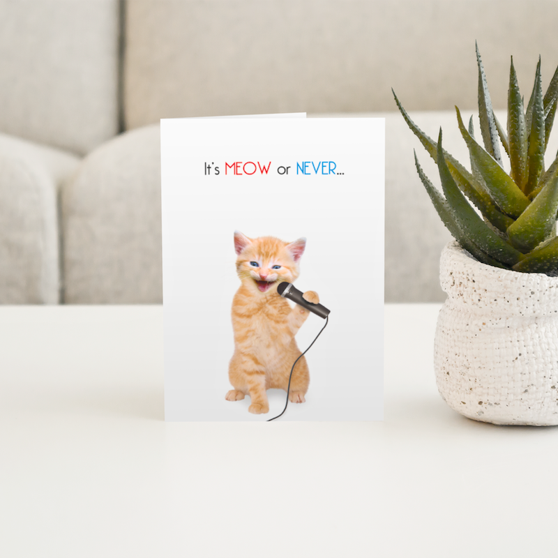 'It's Meow or Never' Cat Greeting Card