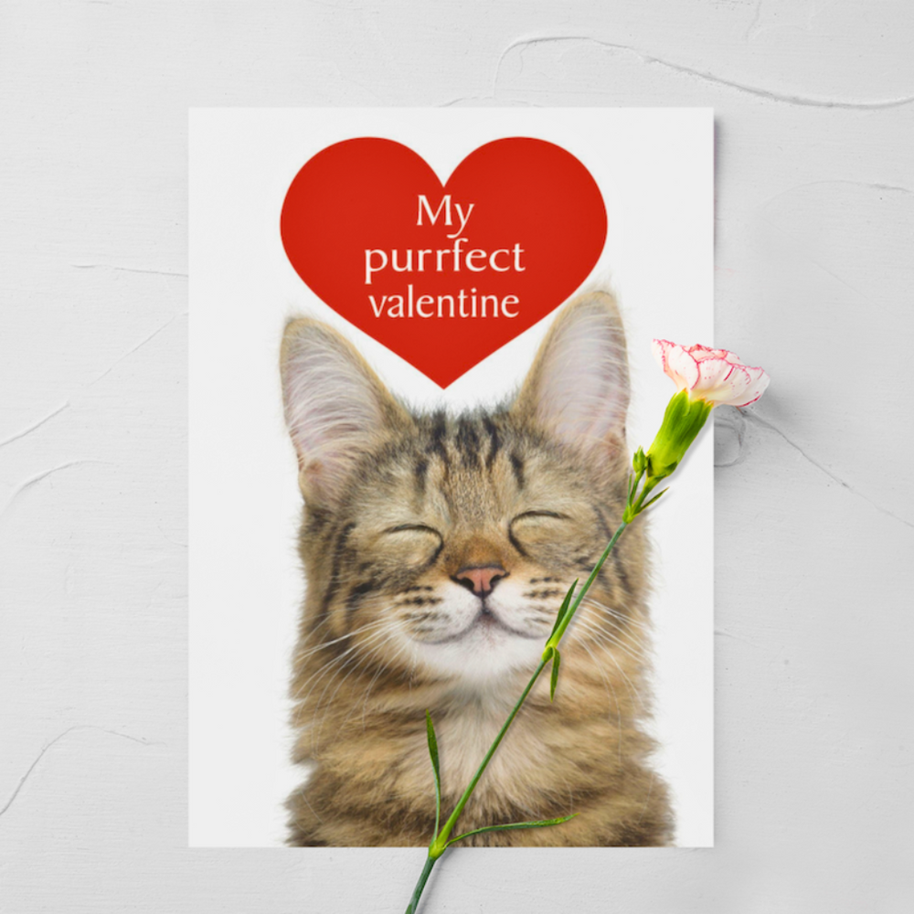 Purrfect Valentine Cat Greetings Card