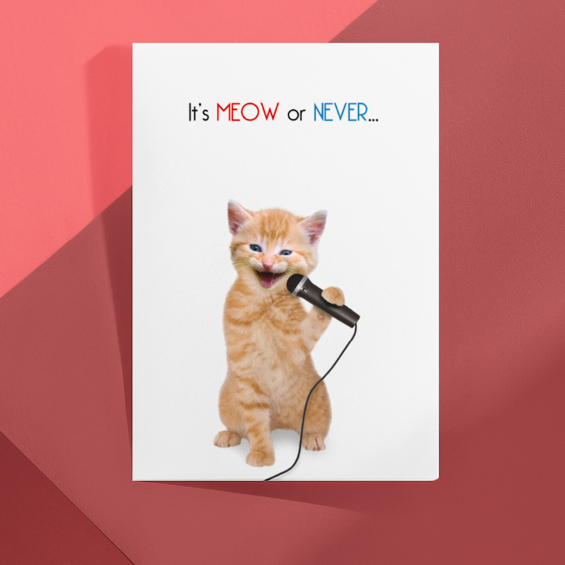 'It's Meow or Never' Cat Greeting Card