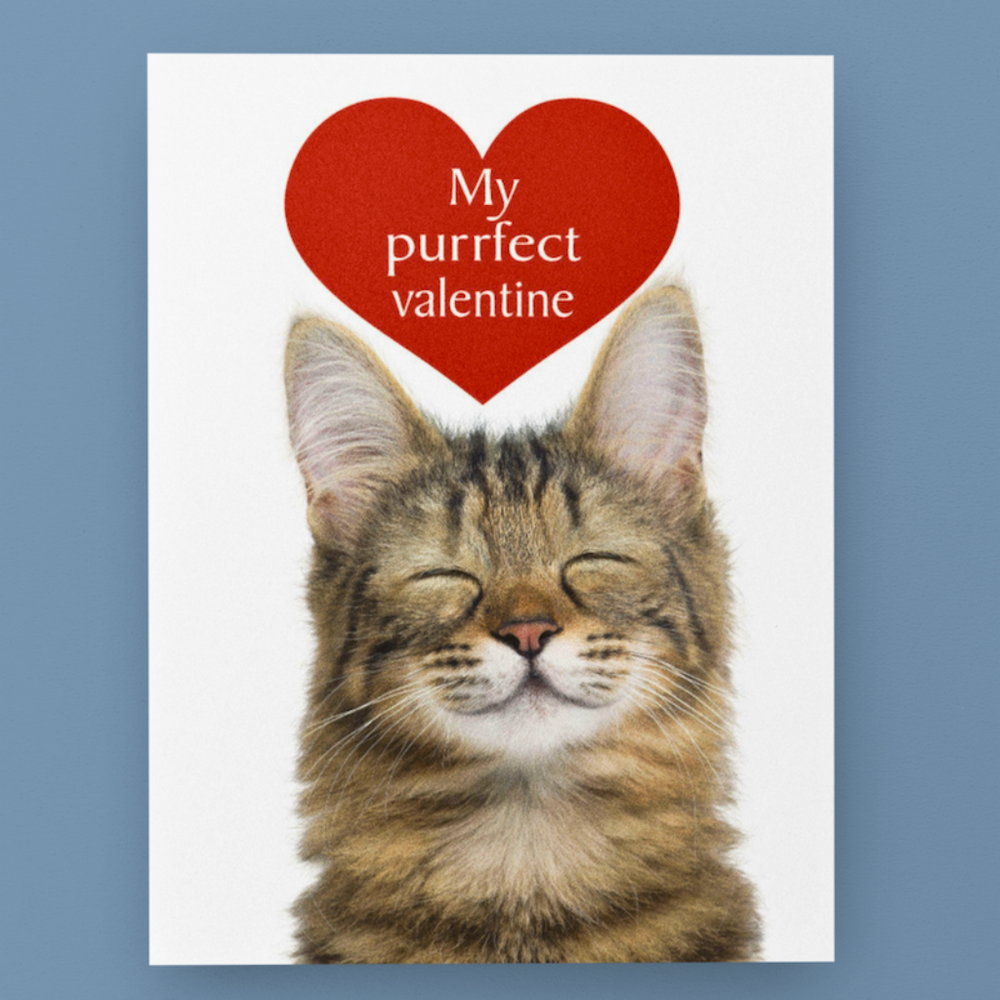 Purrfect Valentine Cat Greetings Card