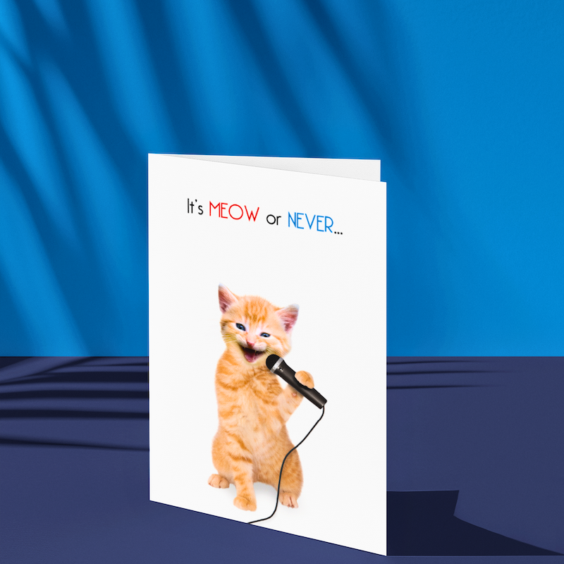 'It's Meow or Never' Cat Greeting Card