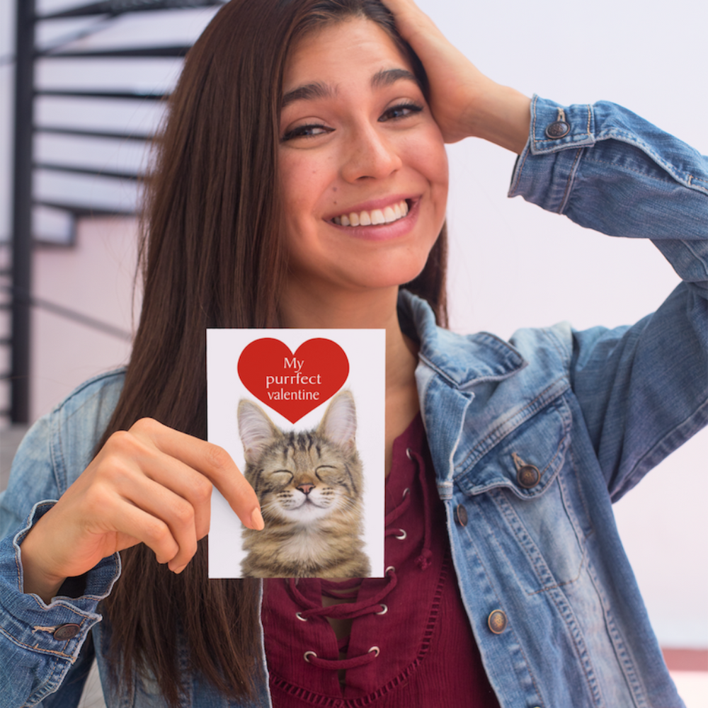 Purrfect Valentine Cat Greetings Card