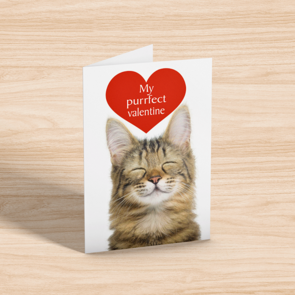 Purrfect Valentine Cat Greetings Card