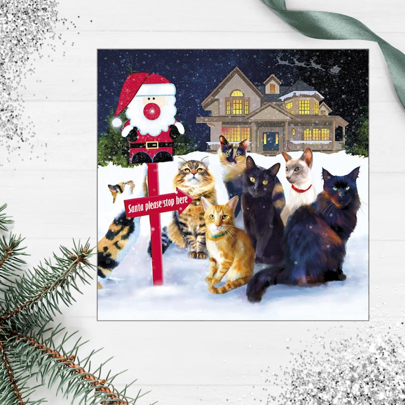 'This Way Santa' Christmas Cat Greeting Card