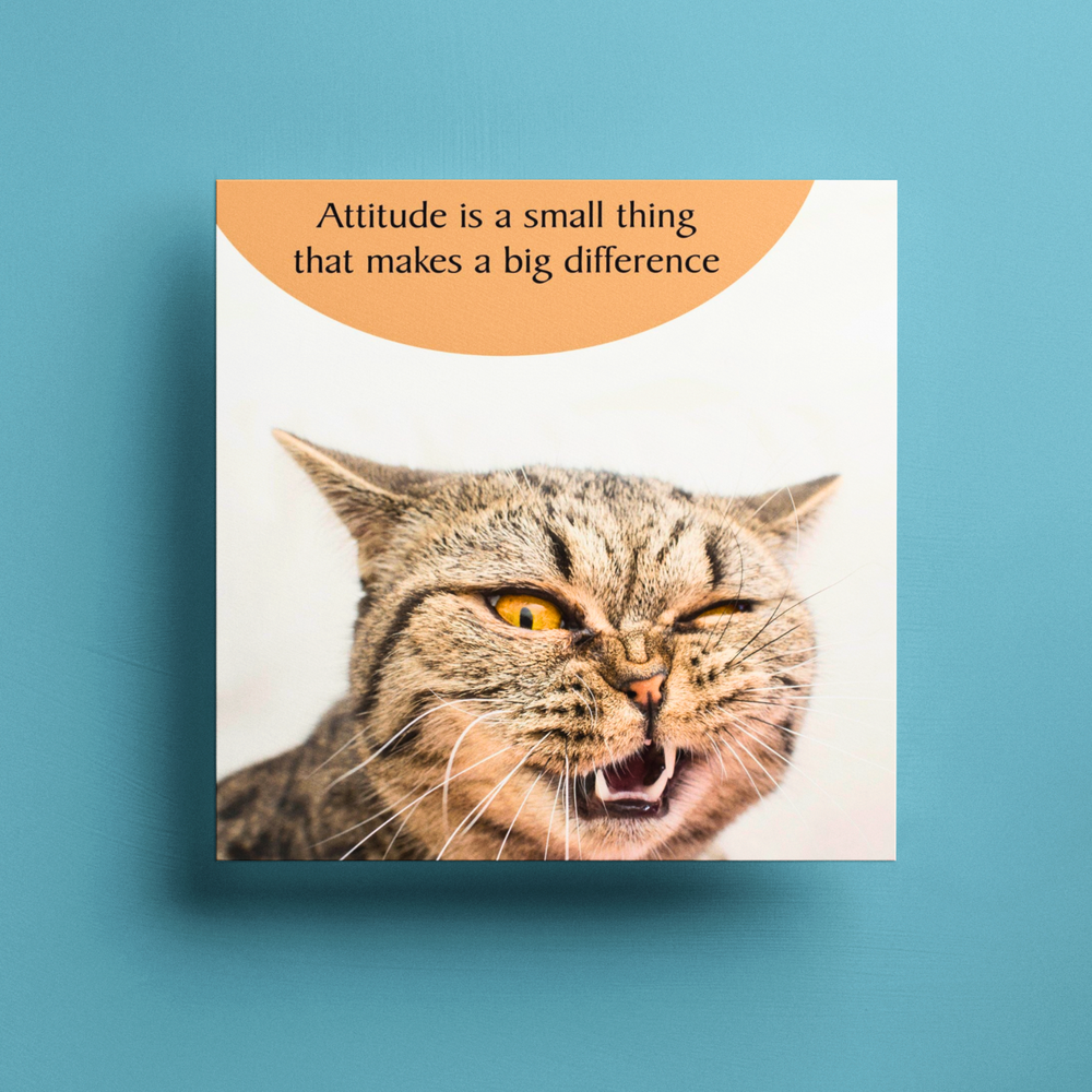 Attitude Greeting Cat Card