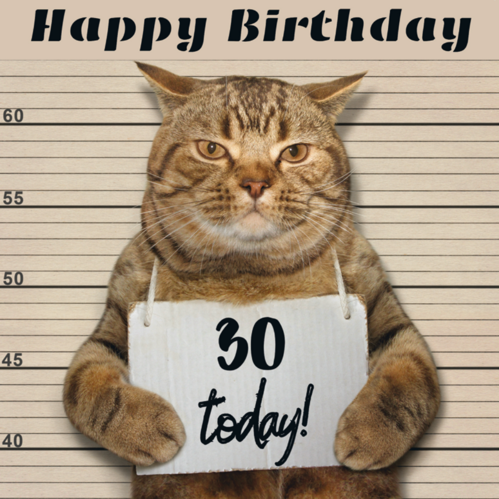 Moggie Mugshot 30th Birthday Card