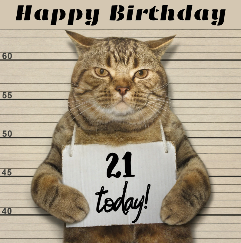 Moggie Mugshot 21st Birthday Card