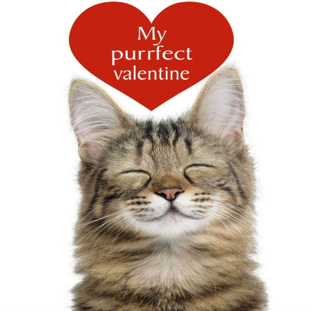 Purrfect Valentine Cat Greetings Card